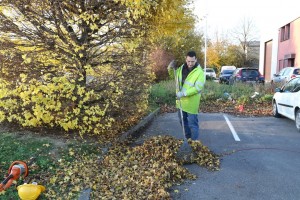 RAMASSAGE FEUILLES 1