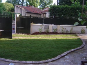 Rénovation pelouse 1
