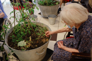 Jardin thérapeutique Retraités